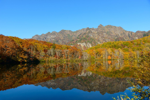 长野：雪猴与戸隠神社一日双景之旅从野泽温泉、妙高和上越地区接送。