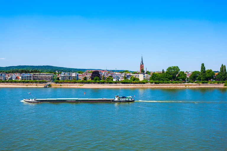 Bonn: Passeggiata express con un abitante del luogoBonn: 90 minuti a piedi con un abitante del posto