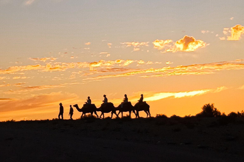 Agafay Magic: Dinner, Camel Rides &amp; Quad Biking