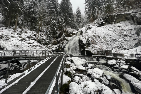 Il meglio della Svizzera L&#039;Oberland Bernese escursione di un giorno con la funivia