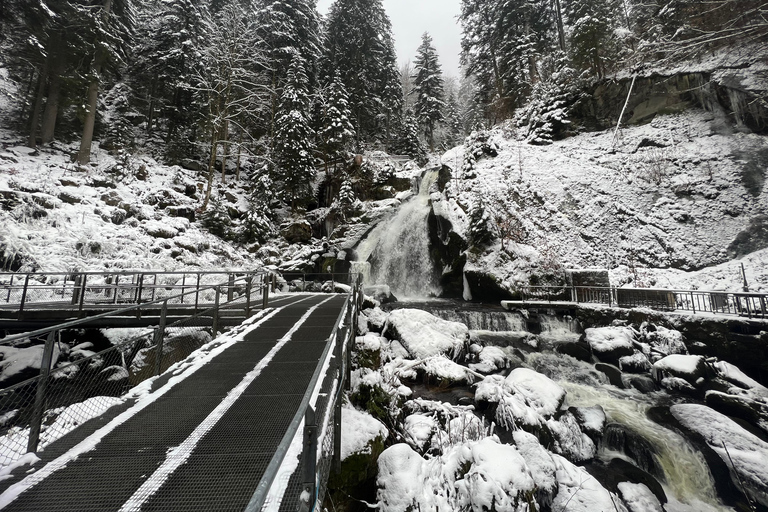 Best of Switzerland Berneński Oberland - 1-dniowa wycieczka z kolejką linową