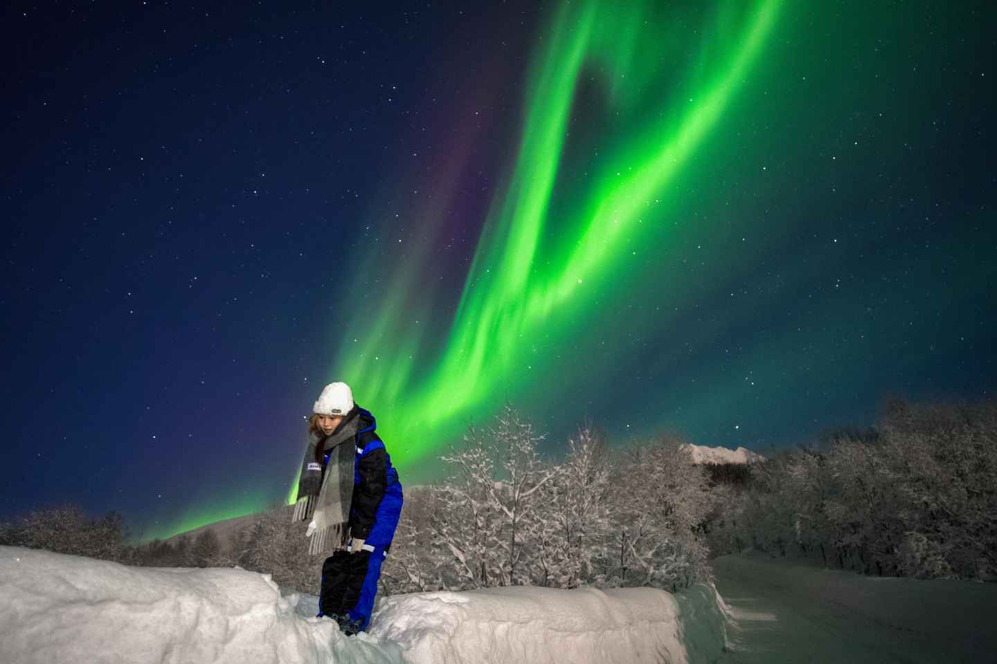 Troms: Northern Lights Tour with Small Group 8 Guests max - Tromsø: Northern Lights Tour with Small Group 8 Guests max
