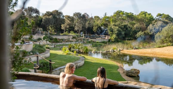 Melbourne: Small Group Peninsula Hot Springs, Lunch & Wine