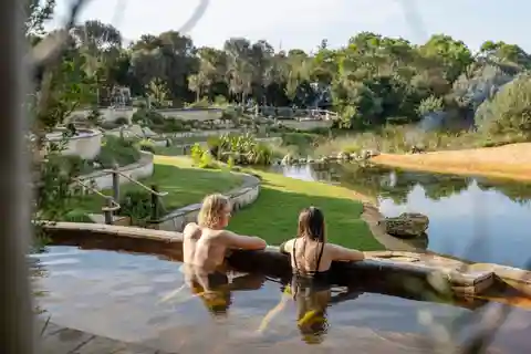 Melbourne: Excursão às fontes termais e vinícolas da Península Mornington