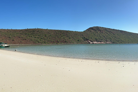 La Paz: Espiritu Santo Island Tour