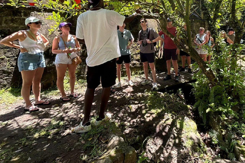 Se det hela {Den lokala bakom kulisserna-turen i St Kitts}