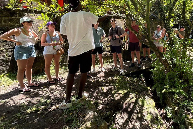 Verlo todo {La visita local entre bastidores de San Cristóbal}