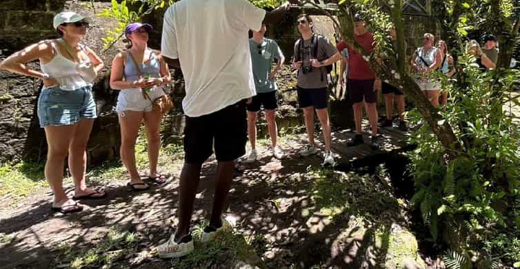 3 hour Private Tour St.Kitts Local Experience Up To 5 Person | GetYourGuide
