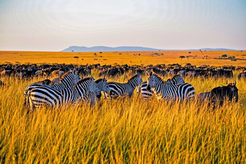 3-Day 2-Nights Maasai Mara Big 5 Safari All Inclusive