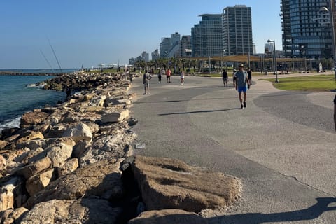 Tel Aviv: Old Jaffa and Tel Aviv Walking and Car Tour