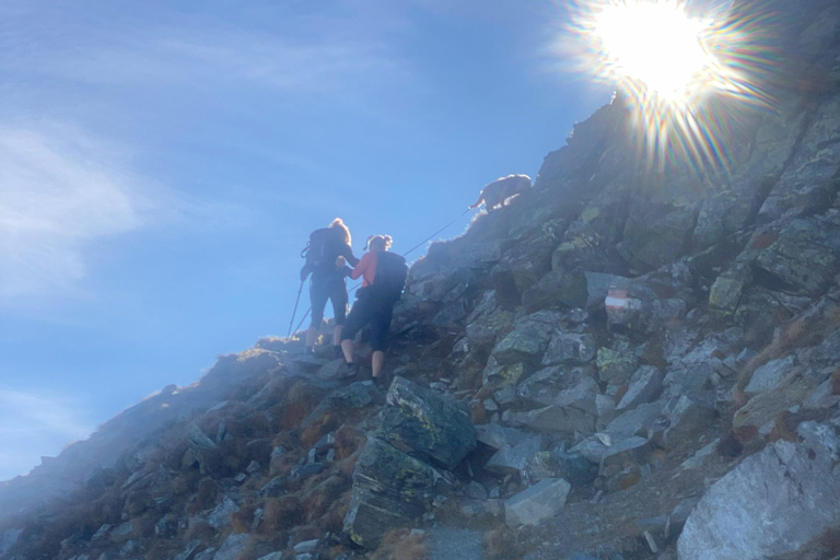 Innsbruck: Sunrise tour on the Patscherkofel Innsbruck: Sunrise tour to a summit (Serles/Kofel/Glungezer)