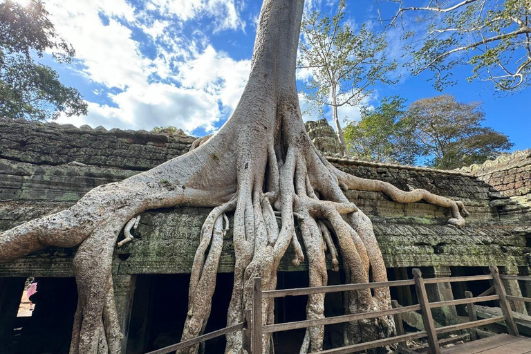 Siem Reap: Angkor 1 dia Tour de grupo com guia de turismo italianoTour em pequenos grupos em italiano