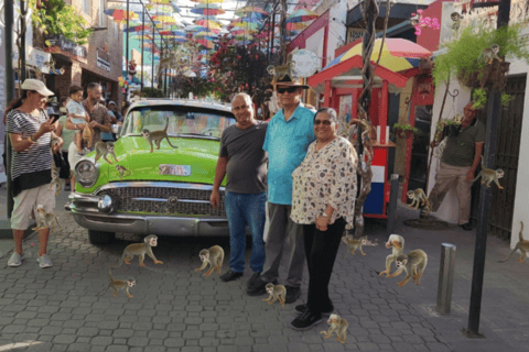 普拉塔港：从泰诺湾/安伯湾出发的猴子之旅和城市之旅普拉塔港：塔伊诺湾/安伯湾的猴子之旅和城市之旅