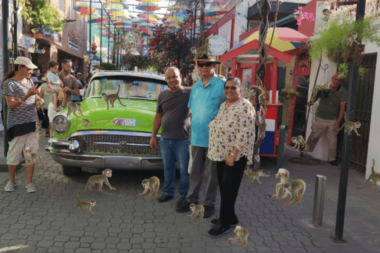 普拉塔港：从泰诺湾/安伯湾出发的猴子之旅和城市之旅普拉塔港：塔伊诺湾/安伯湾的猴子之旅和城市之旅