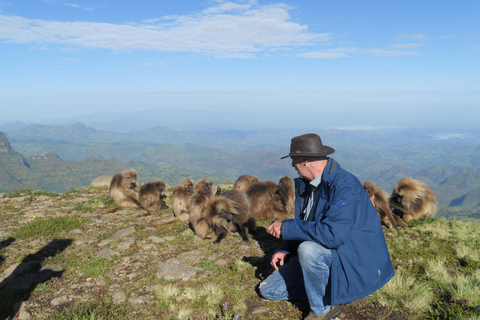 Simien Mountains Tagestour: Wildtierbeobachtung, Wandertour