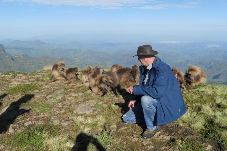 Simien Mountains Tagestour: Wildtierbeobachtung, Wandertour