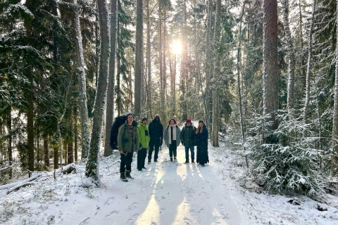 Helsinki: Winter Wonderland Liesjärvi National Park Hike