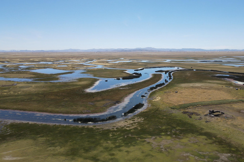 Puno: Birdwatching in the Titicaca National Reserve