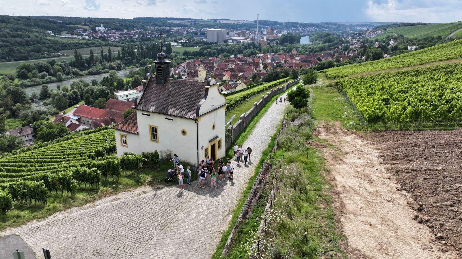 Frickenhausen am Main: Weinspaziergang mit Weinexpertin