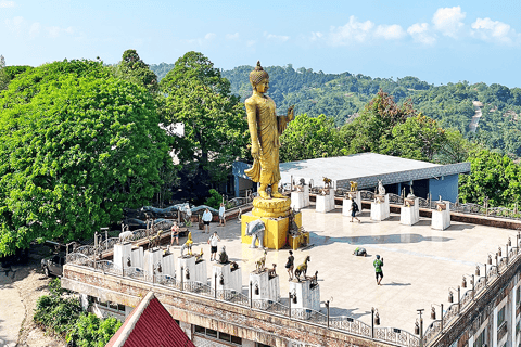 Jeep Tour Koh Samui Dschungel Safari Ganztagestour Abenteuer