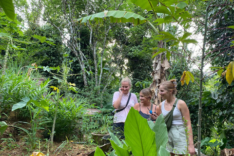 إيلا: جولة في حديقة التوابل Nine Arch مع غداء تقليدي