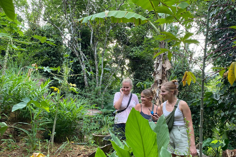 إيلا: جولة في حديقة التوابل Nine Arch مع غداء تقليدي