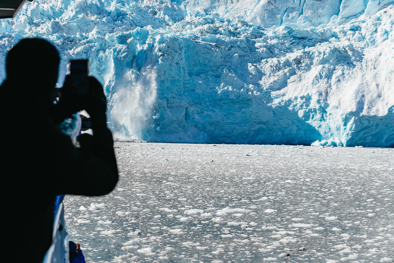 Seward: Kenai Fjords National Park Glacier Cruise w/ Lunch 8:00 AM Departure