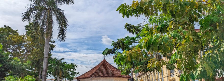 Visite d'une demi-journée de la ville de Cebu avec le jardin Sirao