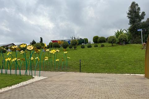 Addis Ababa Layover Tour: Unity Park, Coffee & Local Lunch