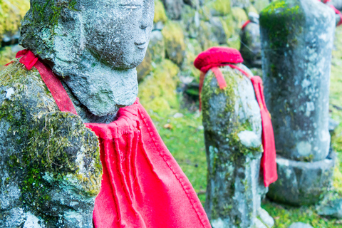 Tokyo: Nikko Kegon Falls Lake Chuzenji Toshogu Temple & More From Tokyo: Nikko Unesco Customised Private Tour In Prado