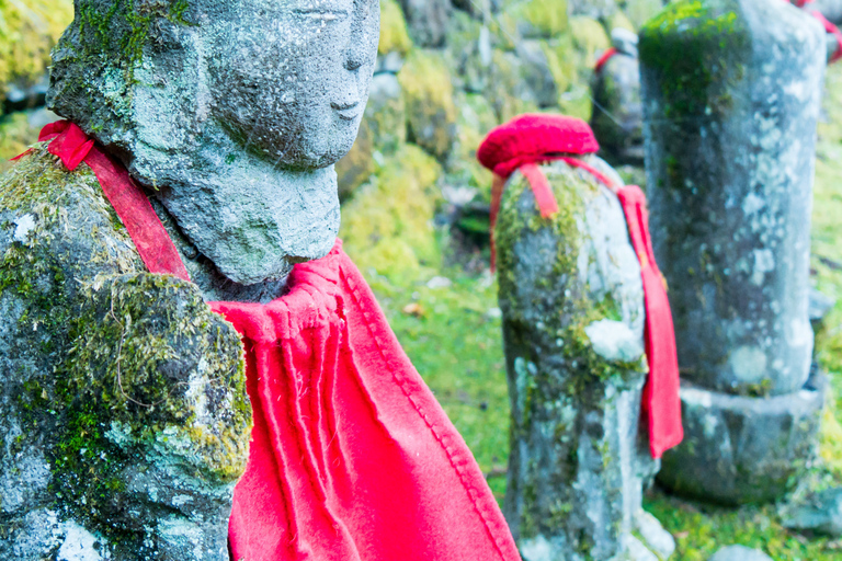 Tokyo: Nikko Kegon Falls Lake Chuzenji Toshogu Temple & More From Tokyo: Nikko Unesco Customised Private Tour In Prado