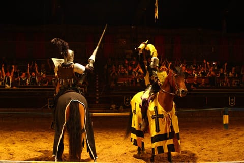 Tenerife: Medieval Night With Dinner, Show, and Transfers