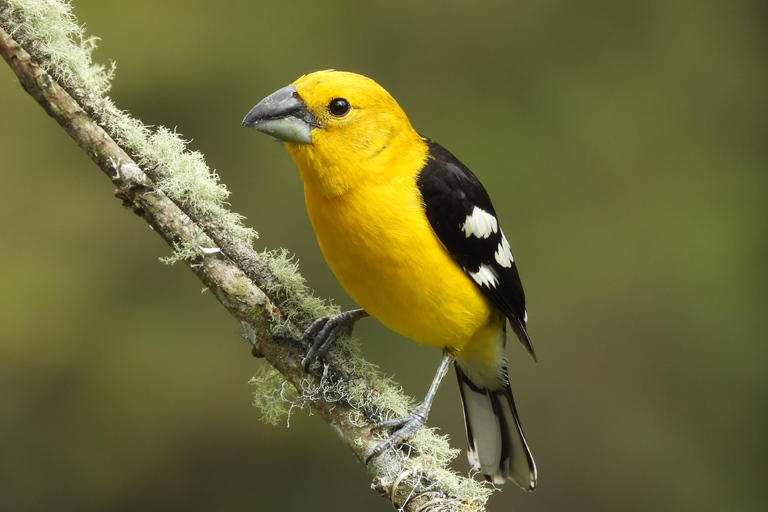 Quito: Pululahua Volcano, Hummingbirds, & Equator Tour