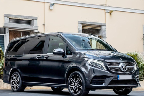 Amsterdam: Private transfer to/from Schiphol Airport or city Minivan (7 pax, 8 bags)