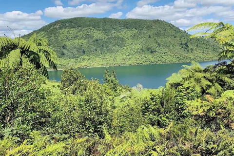 From Auckland: Rotorua Lakes, Redwood & Geothermal Day Trip