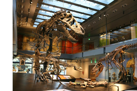 Natural History Museum LA: Entry + Fierce! The Story of Cats Fierce! The Story of Cats Special Exhibition - Weekends