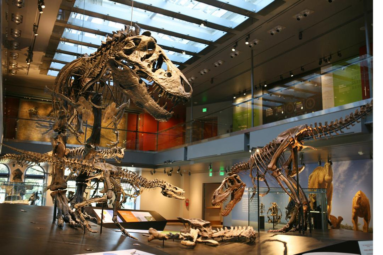 Natural History Museum LA: Entry + Fierce! The Story of Cats Fierce! The Story of Cats Special Exhibition - Weekends