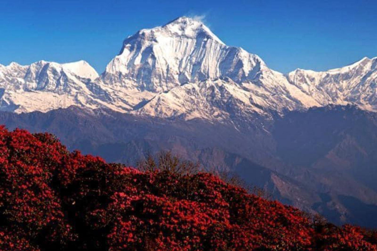 Pokhara: 3-daagse tocht door Astam, Dhampus en Australisch kampPokhara: 3-daags servicepakket