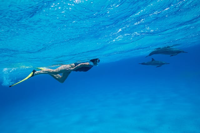 El Gouna : Tour en bateau pour observer les dauphins avec plongée en apnée et déjeuner