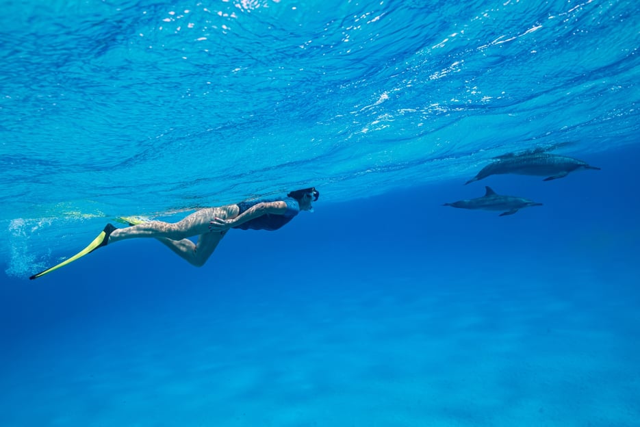 El Gouna: Bootstour zur Delfinbeobachtung mit Schnorcheln und Mittagessen