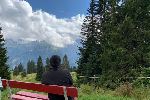 Ab Genf: 10h private Tour in der Schweiz mit Auto+Fahrer