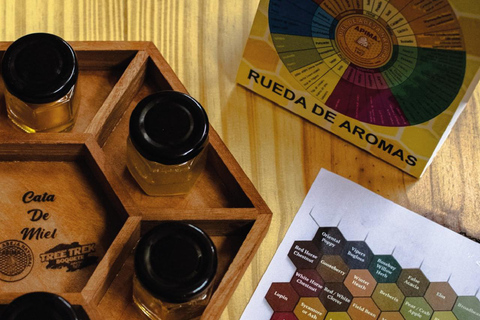 Boquete, Chiriquí: Dive into the world of honey Boquete, Chiriquí: Immerse yourself in the world of honey