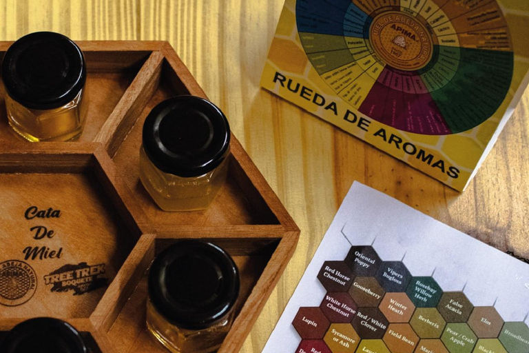 Boquete, Chiriquí: Dive into the world of honey Boquete, Chiriquí: Immerse yourself in the world of honey