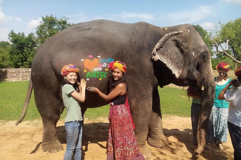 Jaipur: Hathigao Elephant Village Ride, Feeding, & Photos Riding, Feeding, Climbing And Photography with Elephant