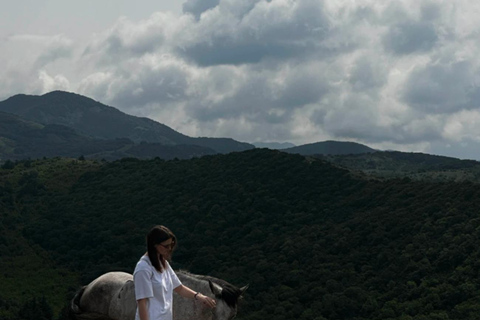 Tbilisi: Discover Georgia in 6 Days – All-Inclusive Tours ✅