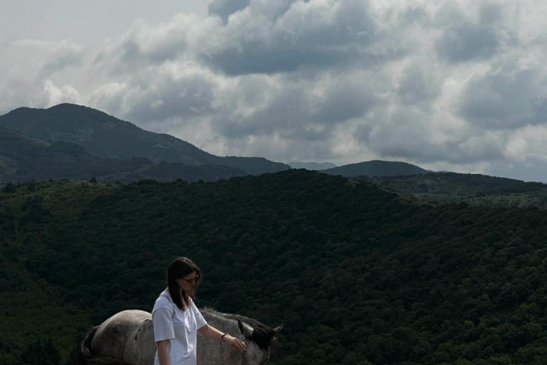 Tbilisi: Discover Georgia in 6 Days – All-Inclusive Tours ✅