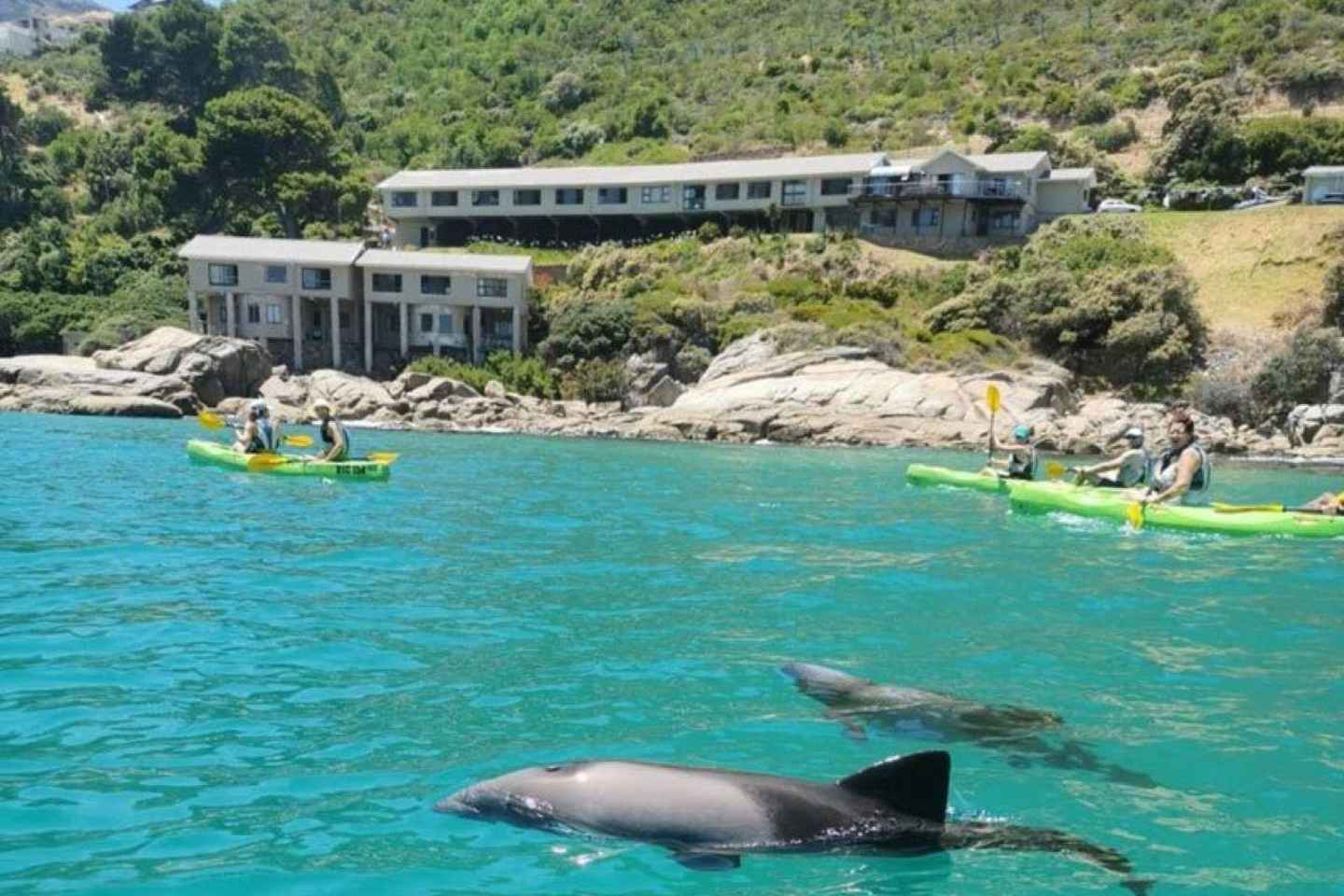 hout bay, cape town