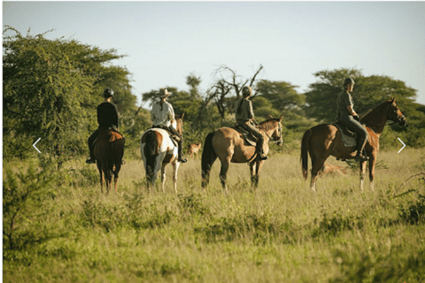 Botsuana: safari a caballo por la reserva natural de Mashatu