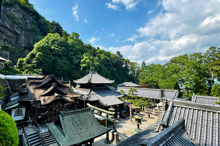 Nara : Todaiji, Kasuga, parc de Nara et Hozan-ji (prolongé)