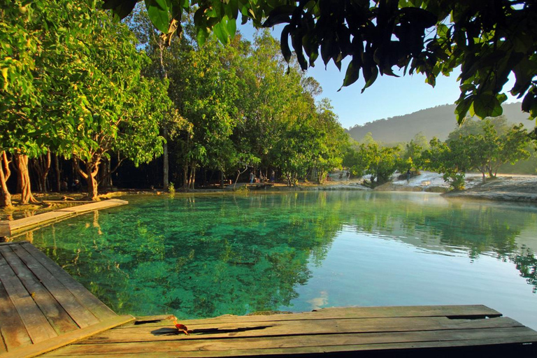 Krabi: Grotta della Tigre, sorgenti termali e tour della giungla della piscina di smeraldoKrabi: tour nella giungla della Grotta della Tigre, delle sorgenti termali e della Piscina